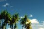 Paradise