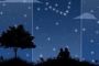 Under the stars!