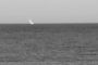 Loneliness