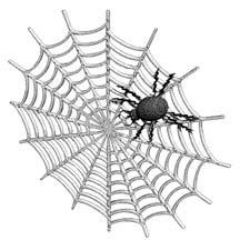 spider_web