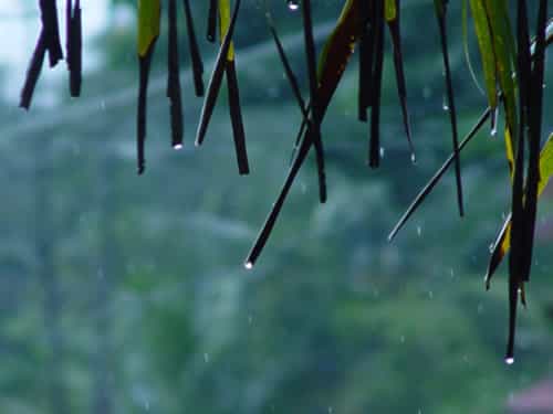 between the raindrops between the raindrops