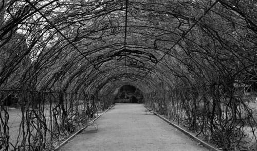 Emptiness
