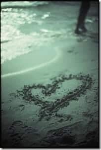 Moonlit Love