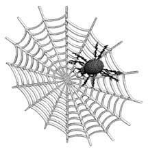 Intricate Web of Life