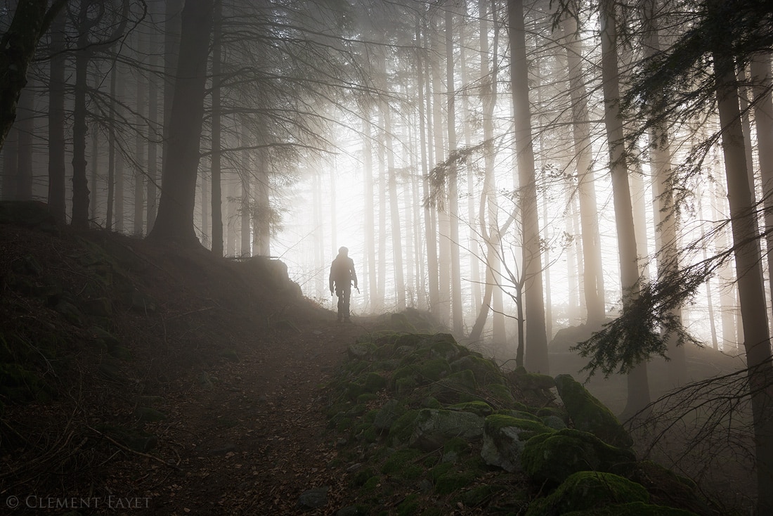 Between Light and Darkness Poem Poetry of Life